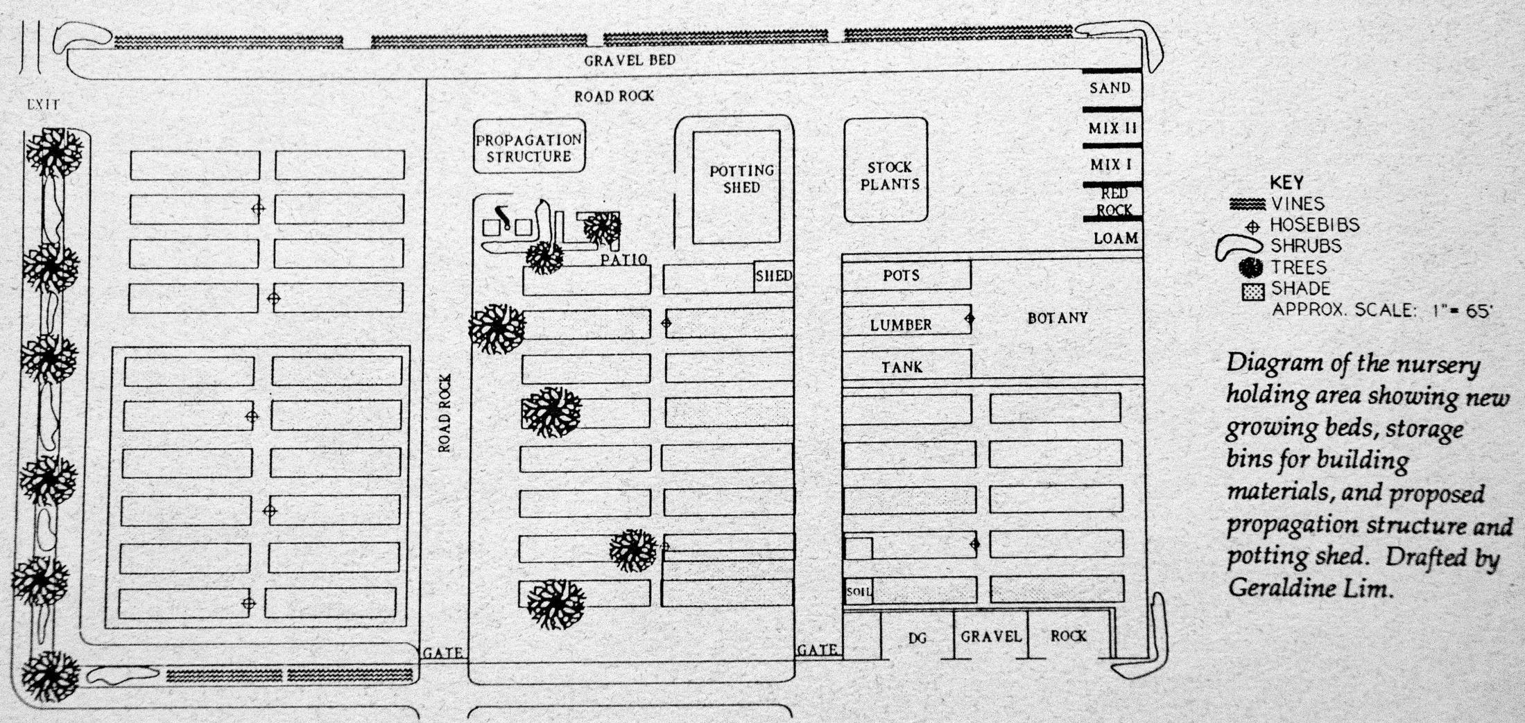 Diagram of the nursery holding area showing new growing beds, storage bins for building materials and proposed propagation structure and potting shed. Drafted by Geraldine Lim.